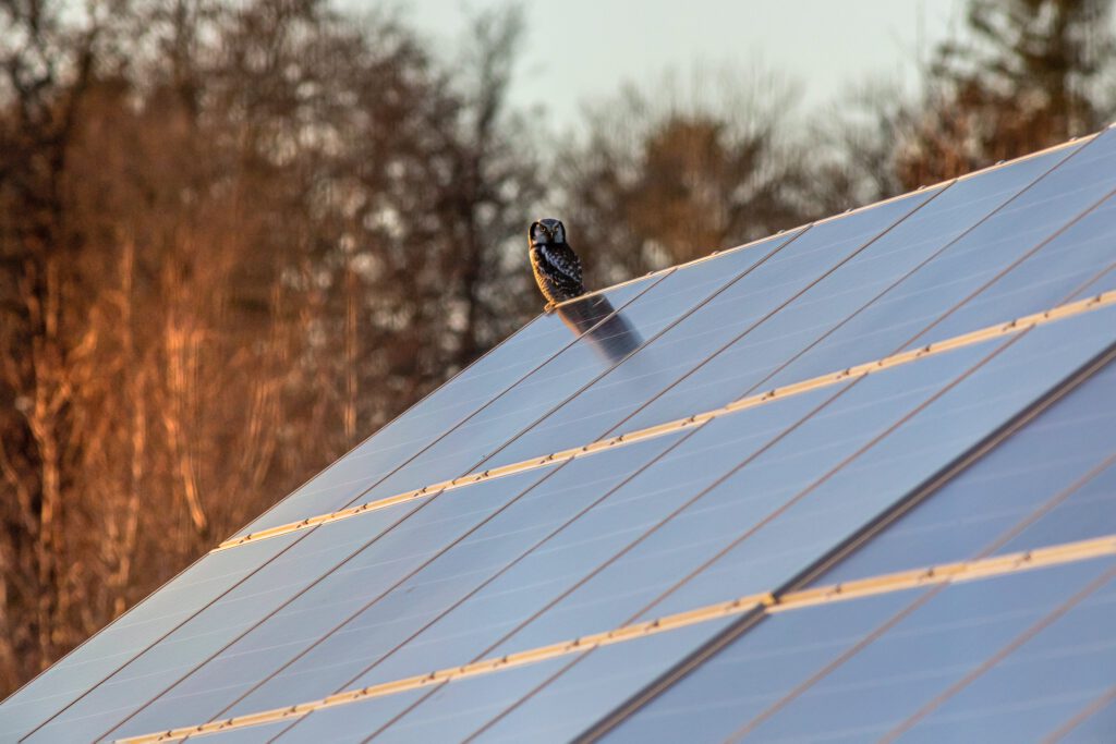 Solarstromspeicher Förderung