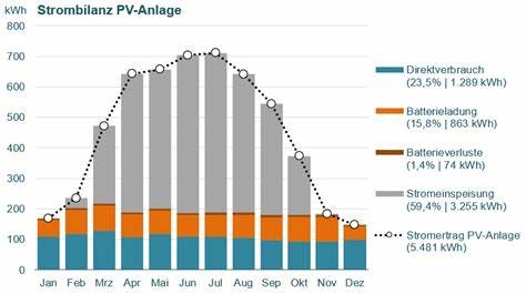 Eigenverbrauch maximieren