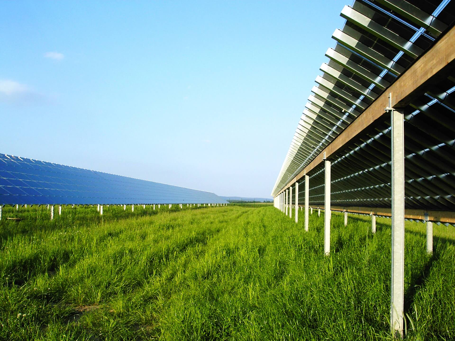 Solarenergie und Umweltschutz: Die Verbindung