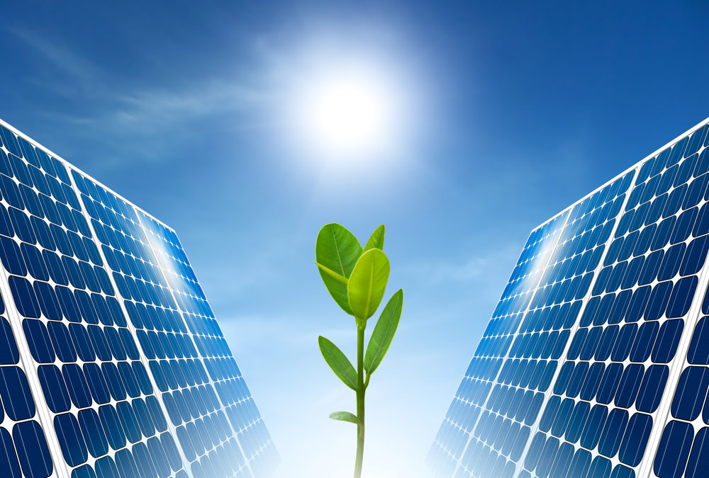 Photovoltaik und Umwelt